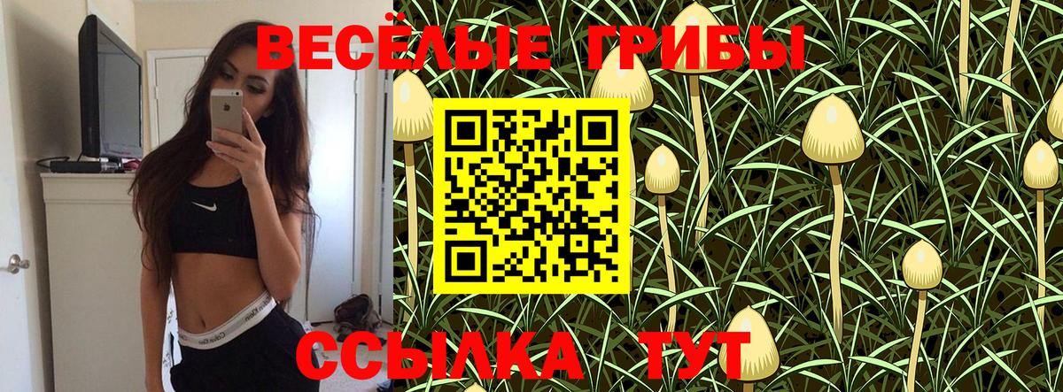 Борисоглебск  Галлюциногенные грибы Psilocybine cubensis  Вход с VPN  Псилоцибиновые грибы Cubensis 